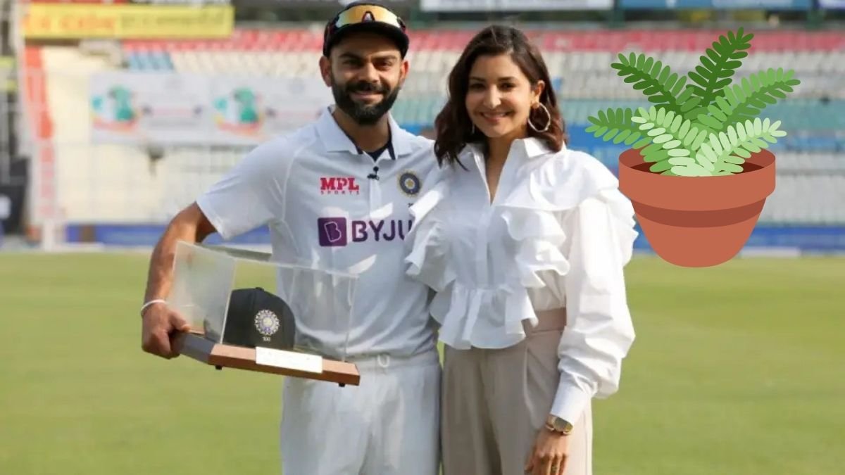 Virat Kohli Chooses Family Over Cricket in Retirement Decision