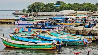 Andhra Pradesh and Odisha on Alert as Cyclone Arnab Approaches Land